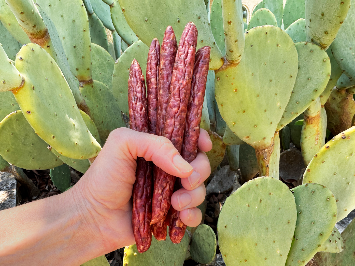 Texas Iberico | Snacking Sticks - Original Flavo