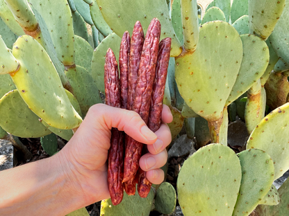 Texas Iberico | Snacking Sticks - Original Flavo